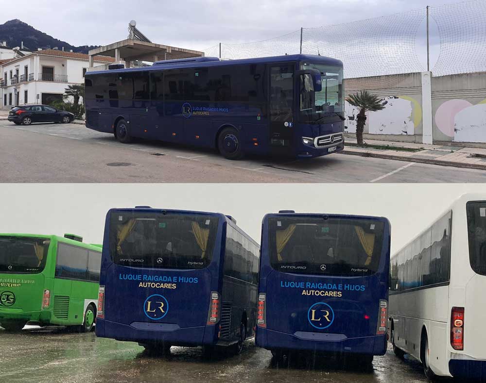 Inicio auto-luque 